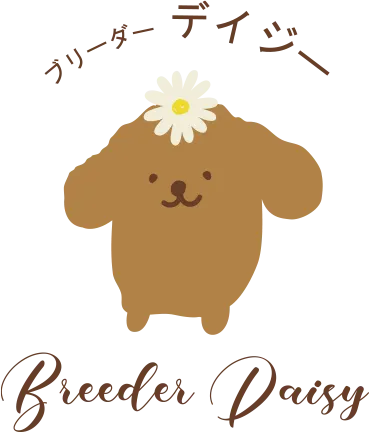 【神奈川ブリーダー】是非お待ちしております!
